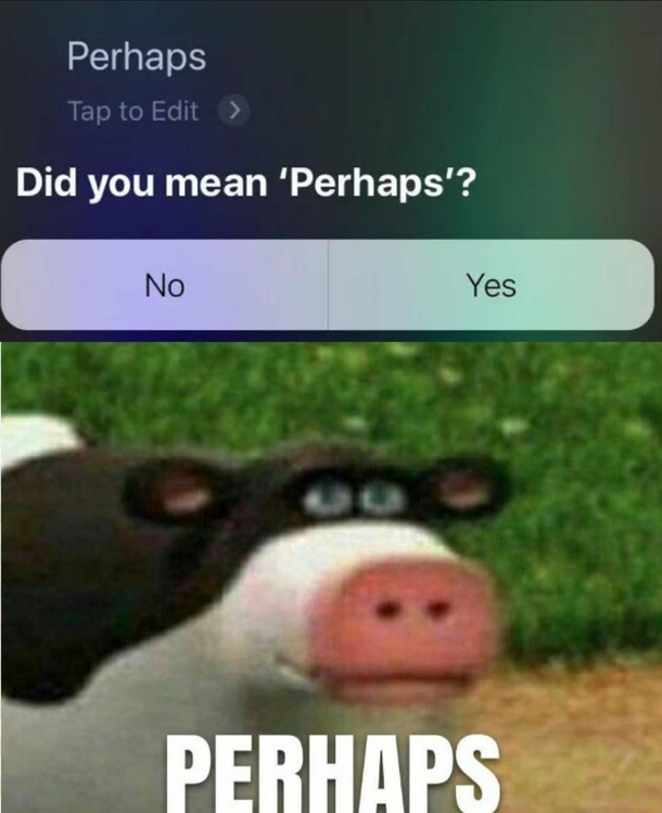 Perhaps