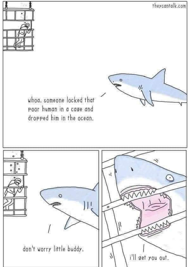 Perspective