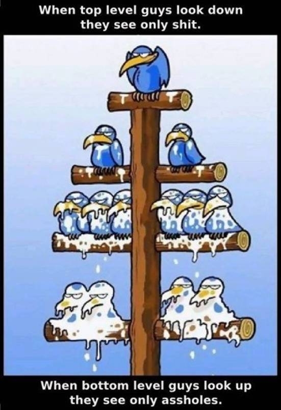Perspective