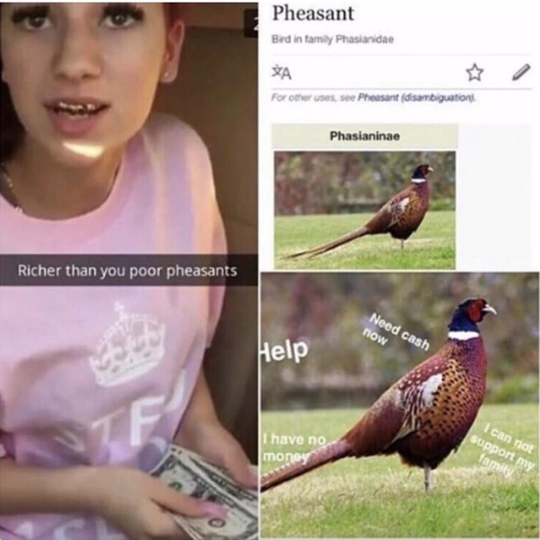 Pheasants