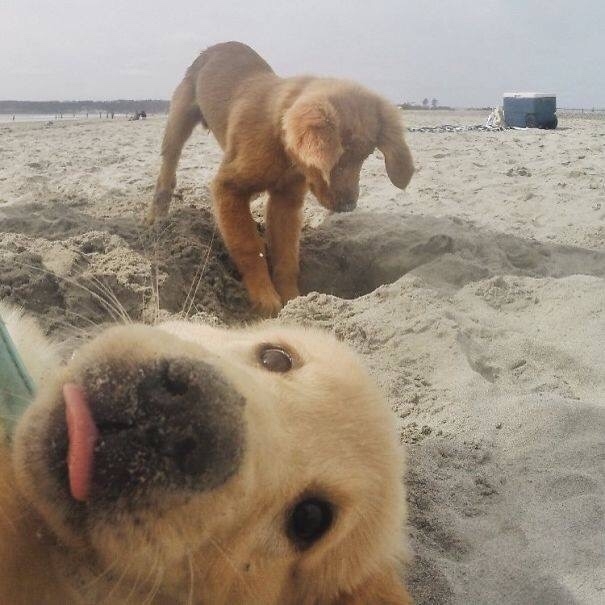 photobomb