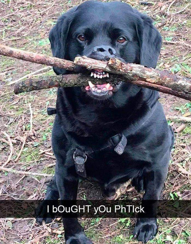 PhTick