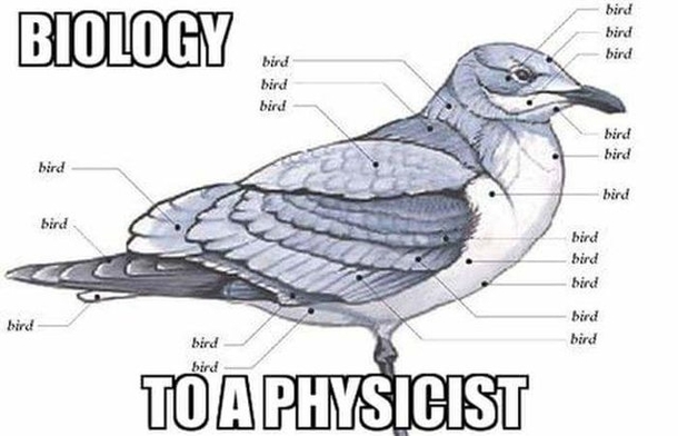 Physicists