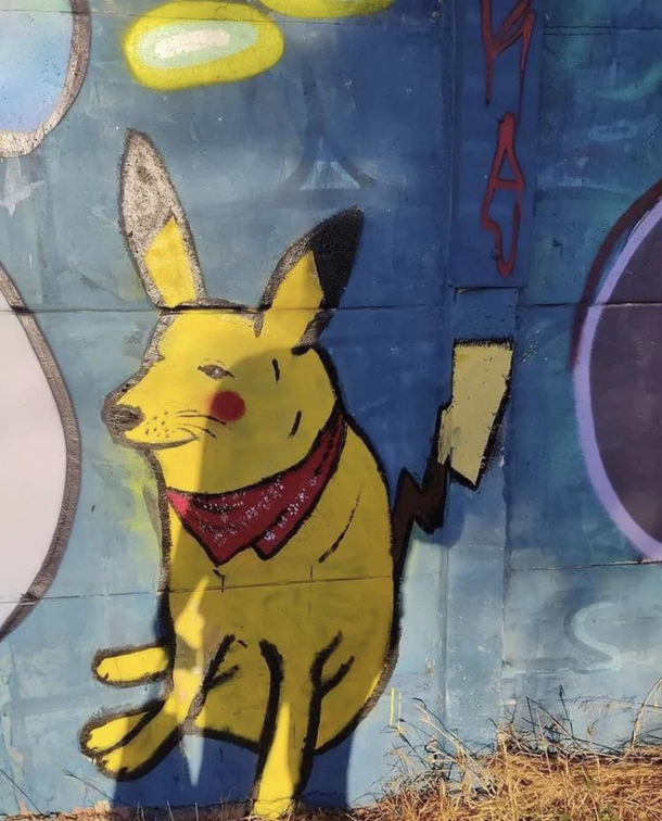 picadog