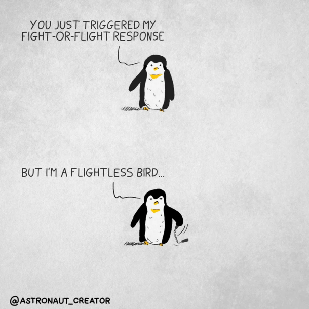 pinguinos
