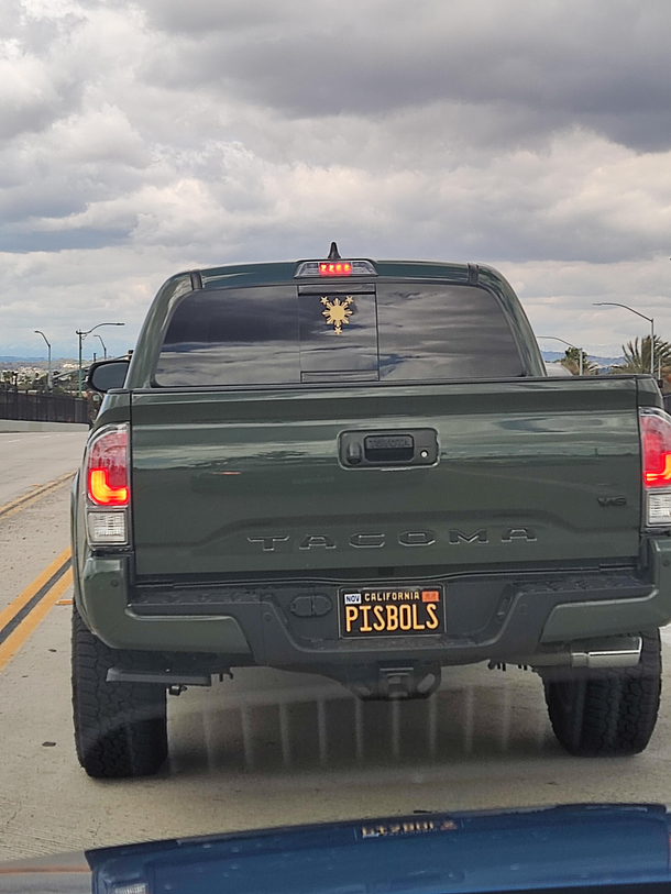 PISBOLS