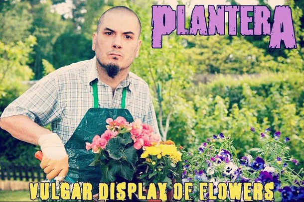 Plantero