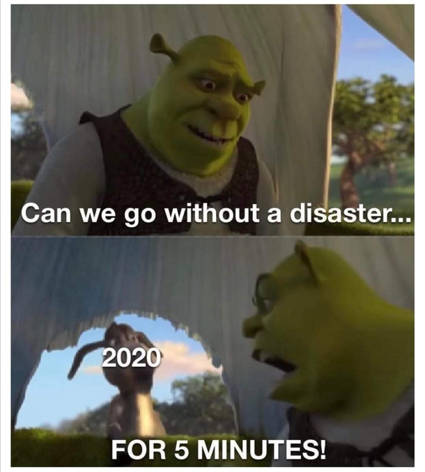 Please