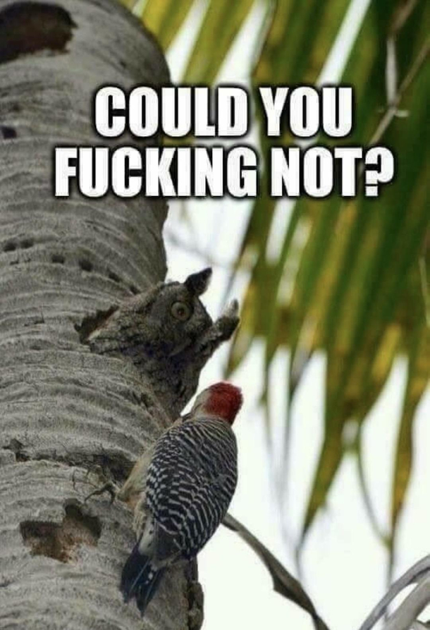 Please