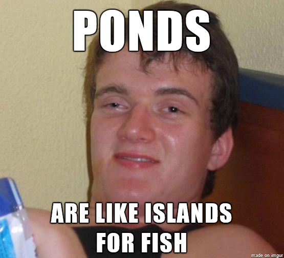 Ponds