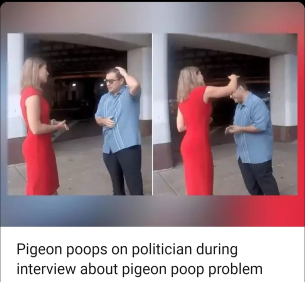 Poop