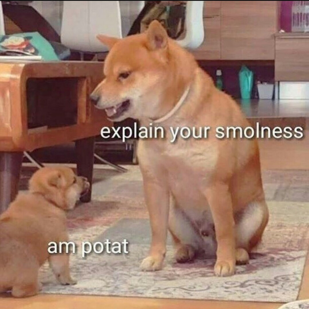 potat
