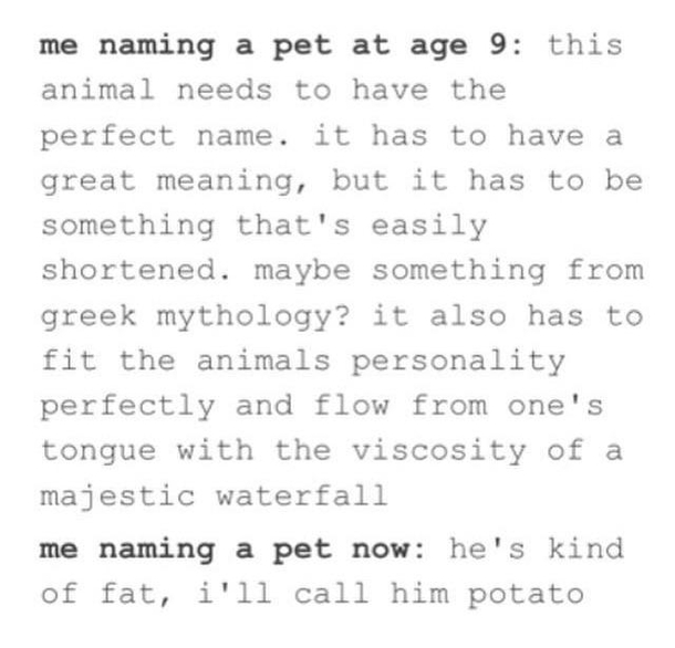 Potato