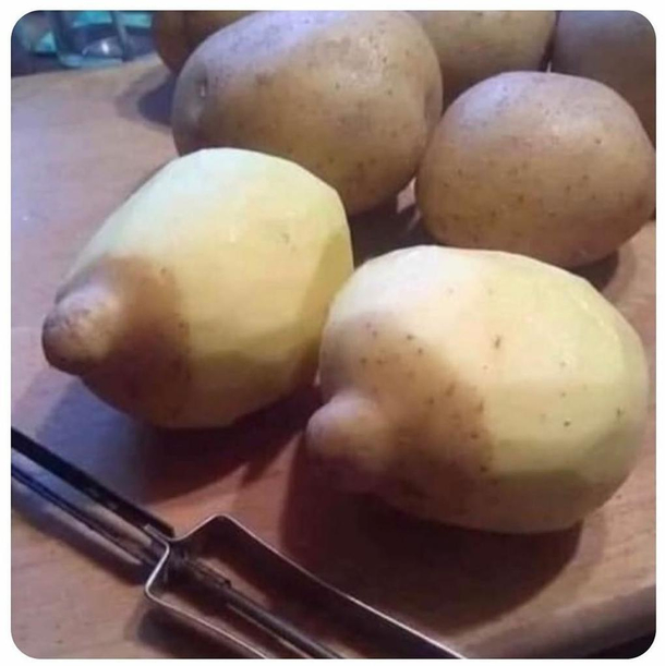 Potitties
