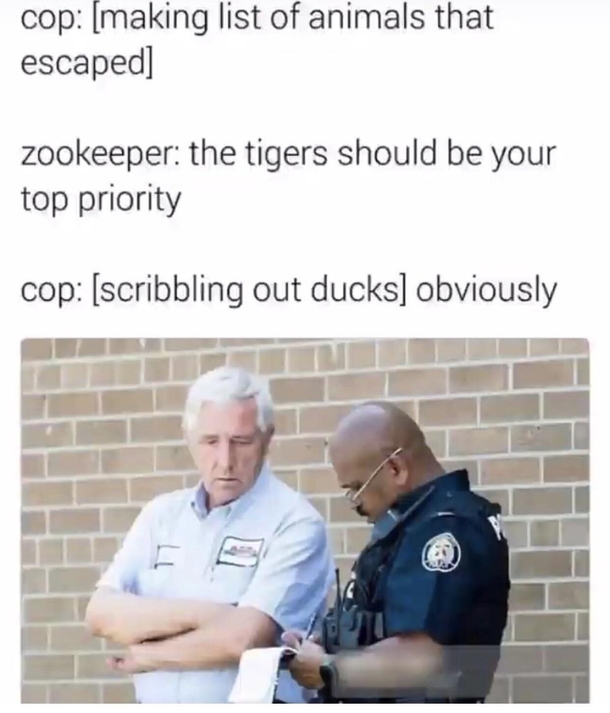priorities