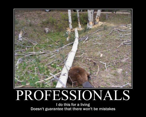 Professionals