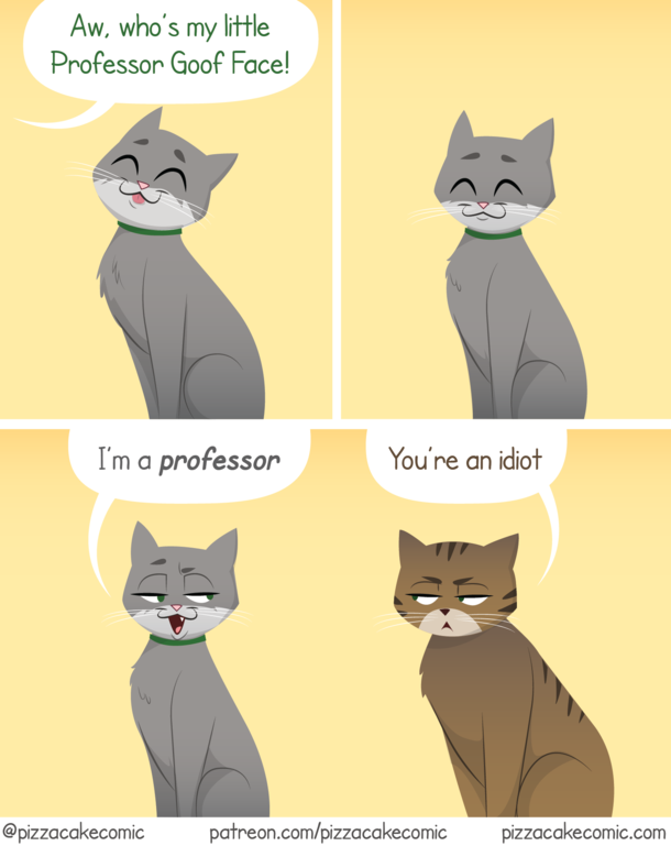 Professor