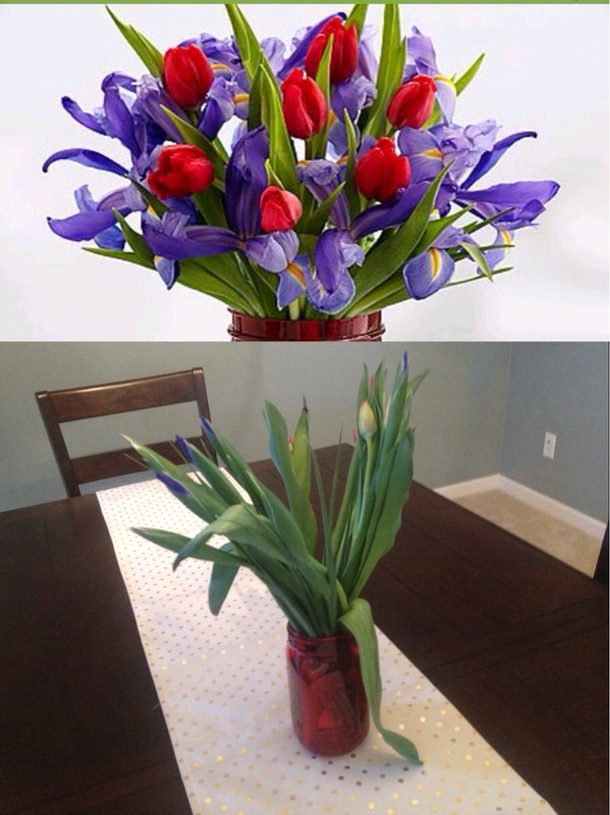  Proflowers sent this to my wifes work