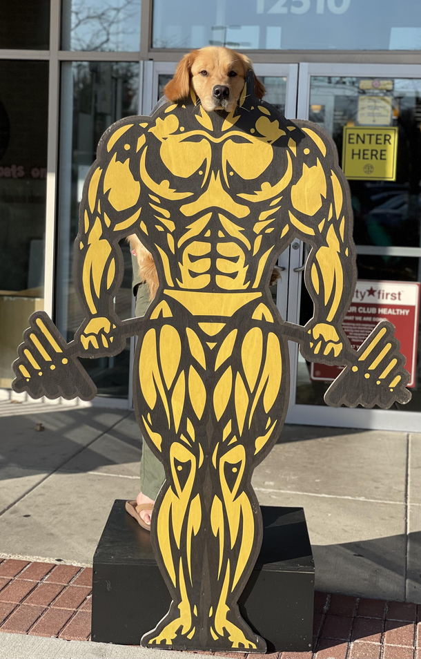 Protein