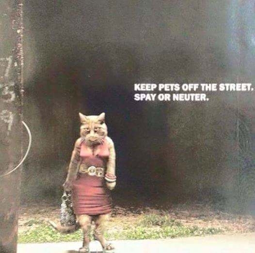 PSA