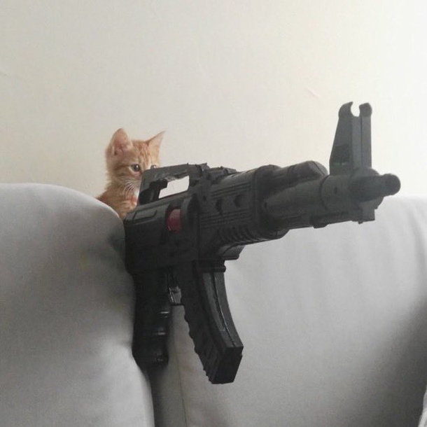 pspspspspspspsp