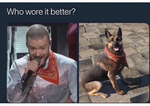  pt for Doggo