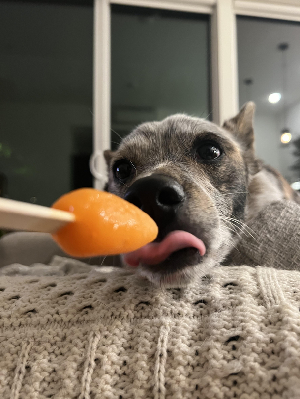 Pupsicle