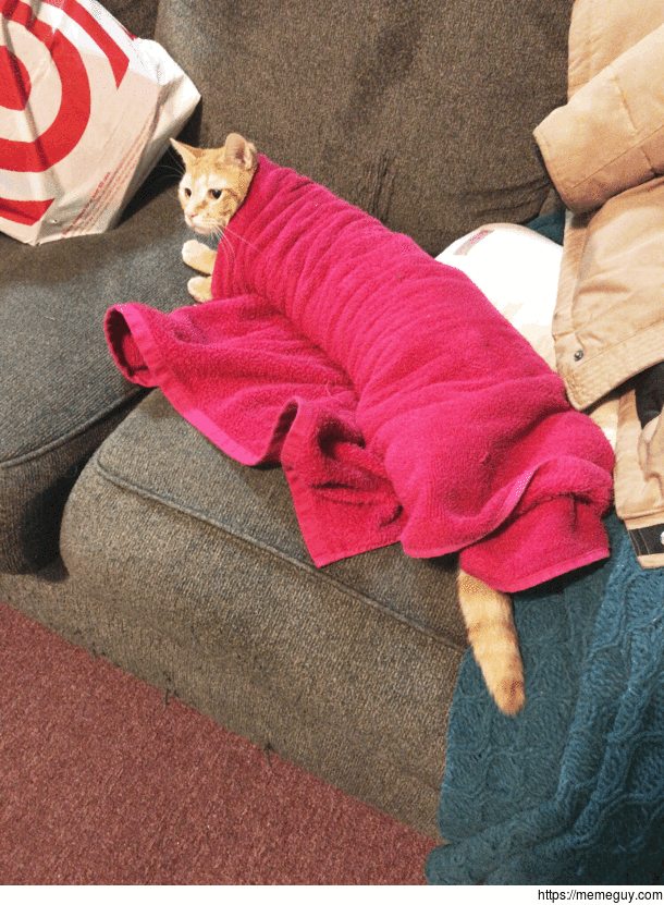 Purrito