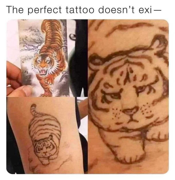 purrrrfect