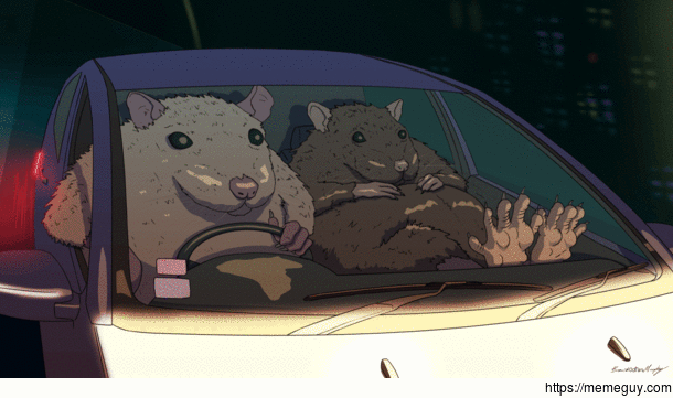 RatDriving