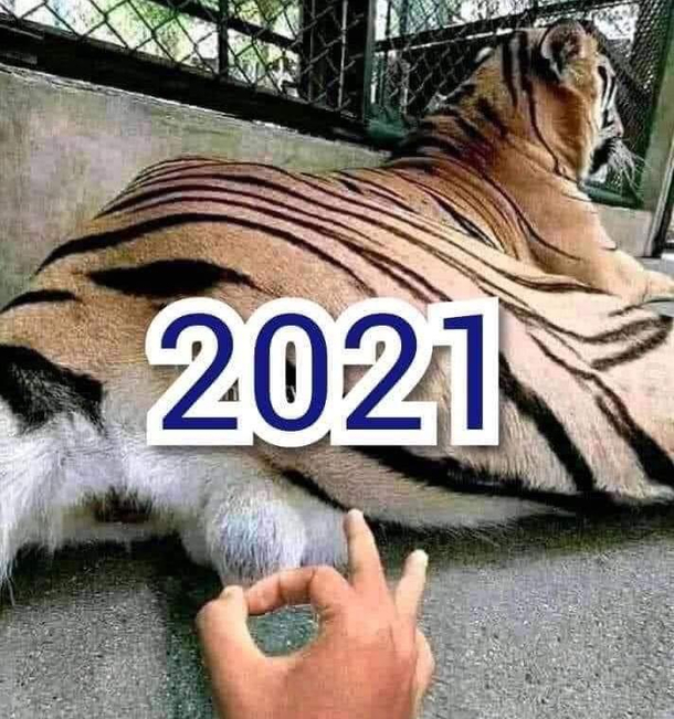 Ready