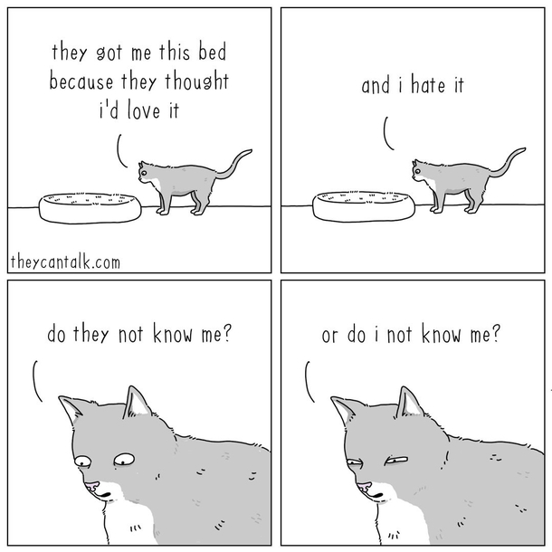 realization