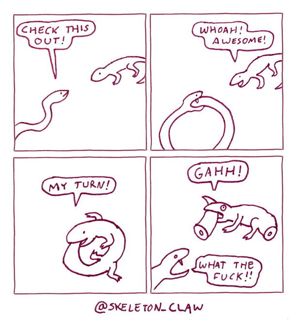 Reptiles