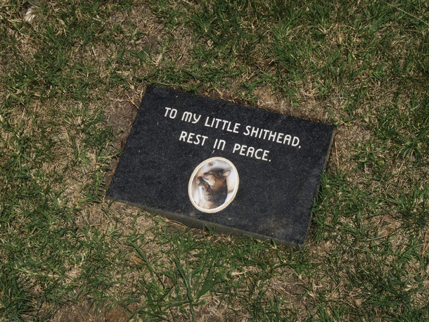 RIP