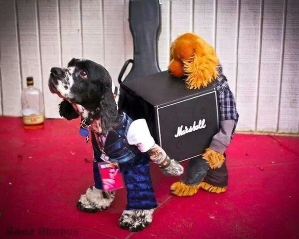 Roadies