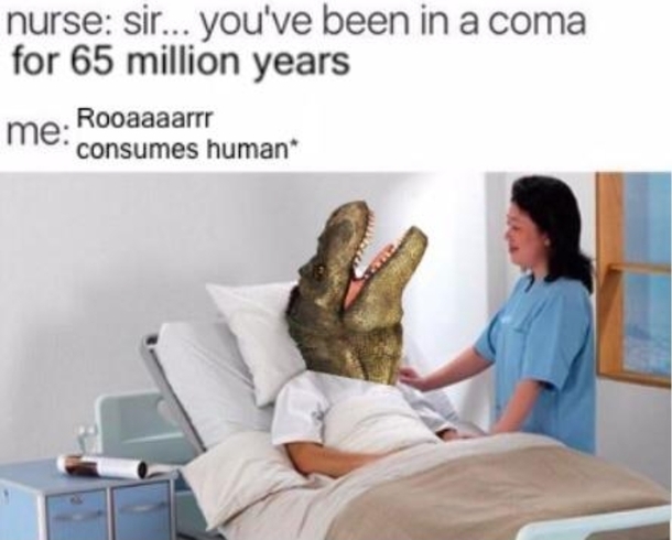 Roar