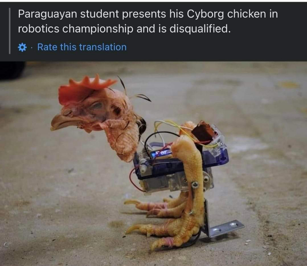 RoboCOCK