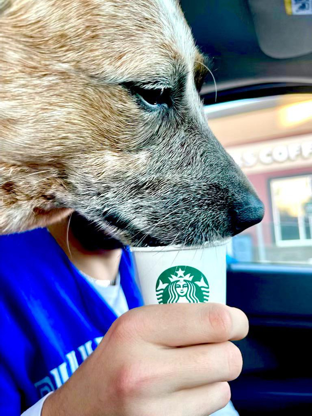 Rrrruppuccino