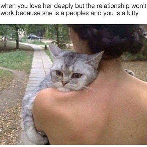 Sad