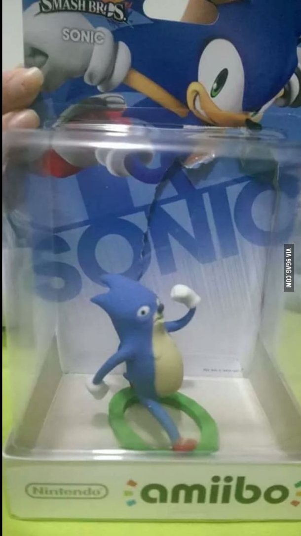 Sanic