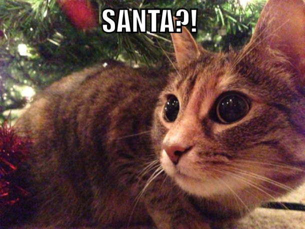 Santa