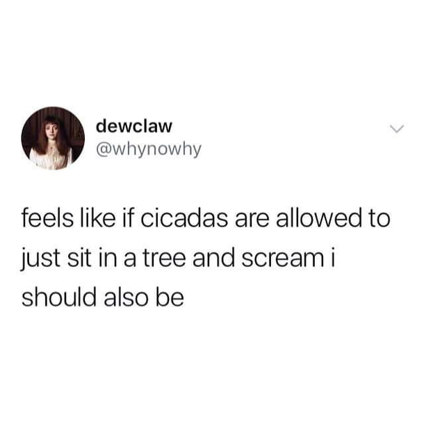 Screammmmmmmmmmmm
