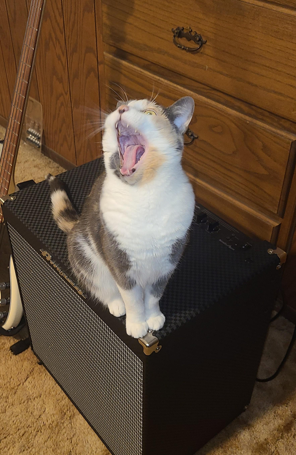 SCREM