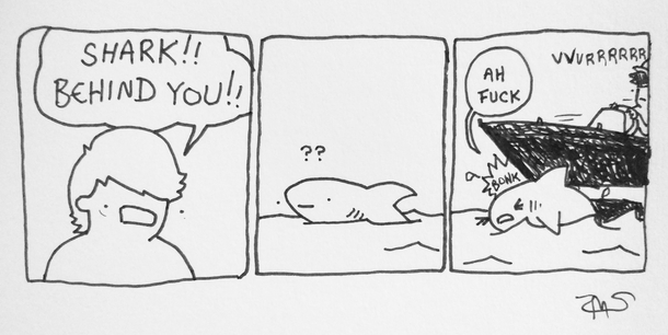 shark