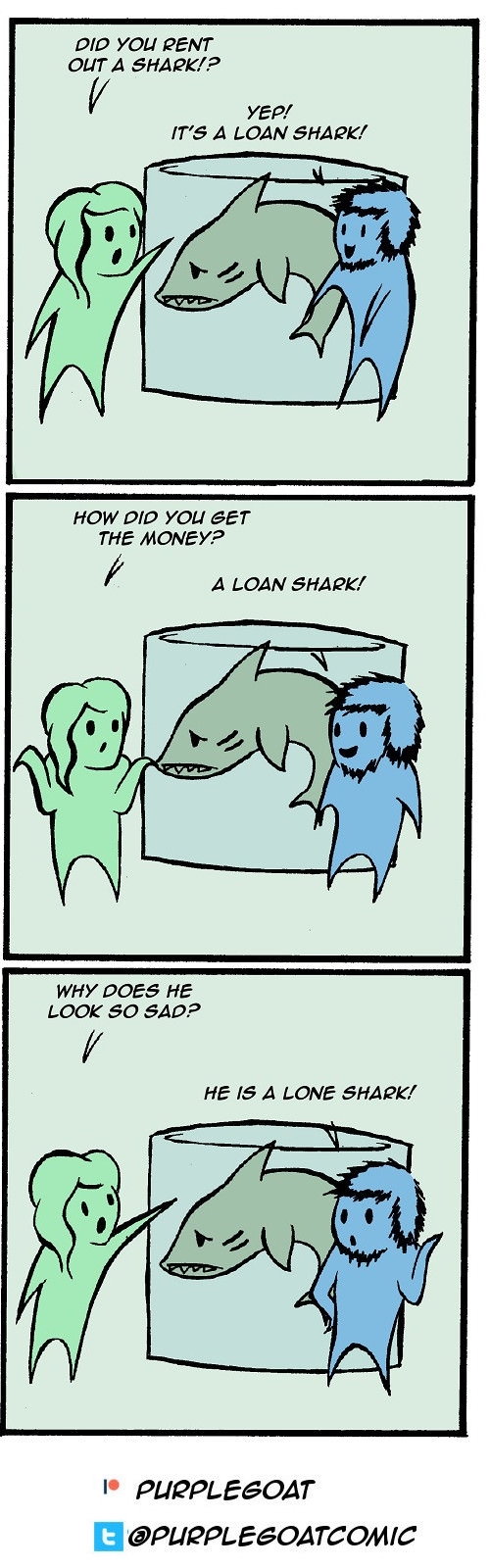 Shark