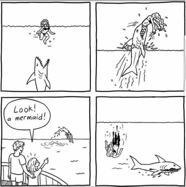 SharkMaid