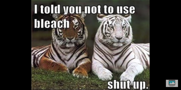 Shhh