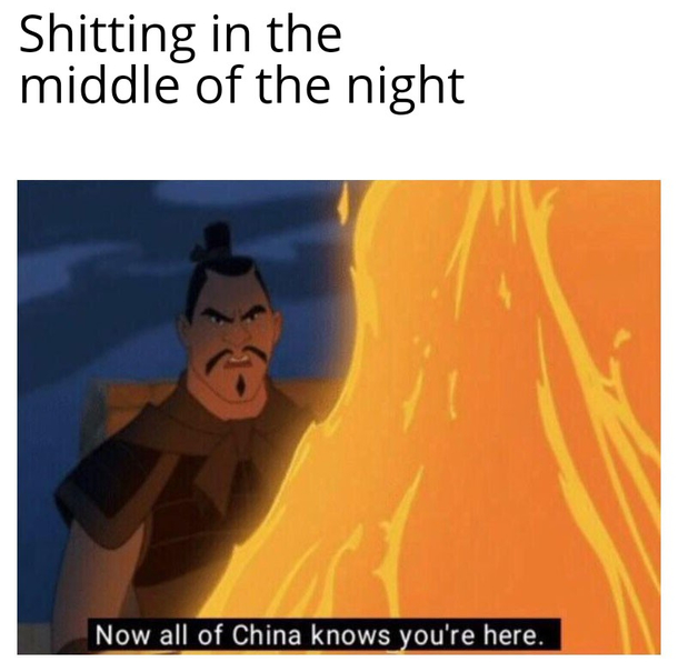 Shitting