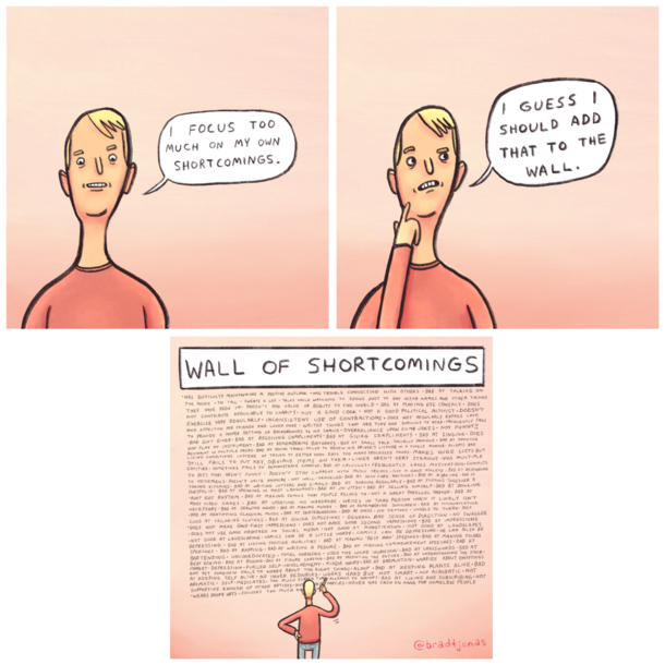 Shortcomings