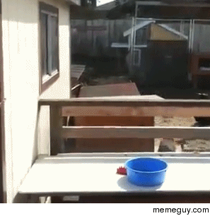 Skills